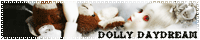 Dolly Daydream